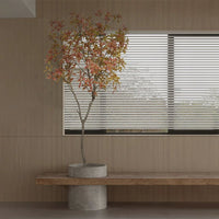 Japanese Andromeda - Real - Trunk Artificial - Potted plant - 4921603839550 - Tumbleweed Plants - Online Plant Delivery Singapore