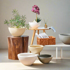 Kala Bowl Planter - Pots - 5506387400190 - Tumbleweed Plants - Online Plant Delivery Singapore