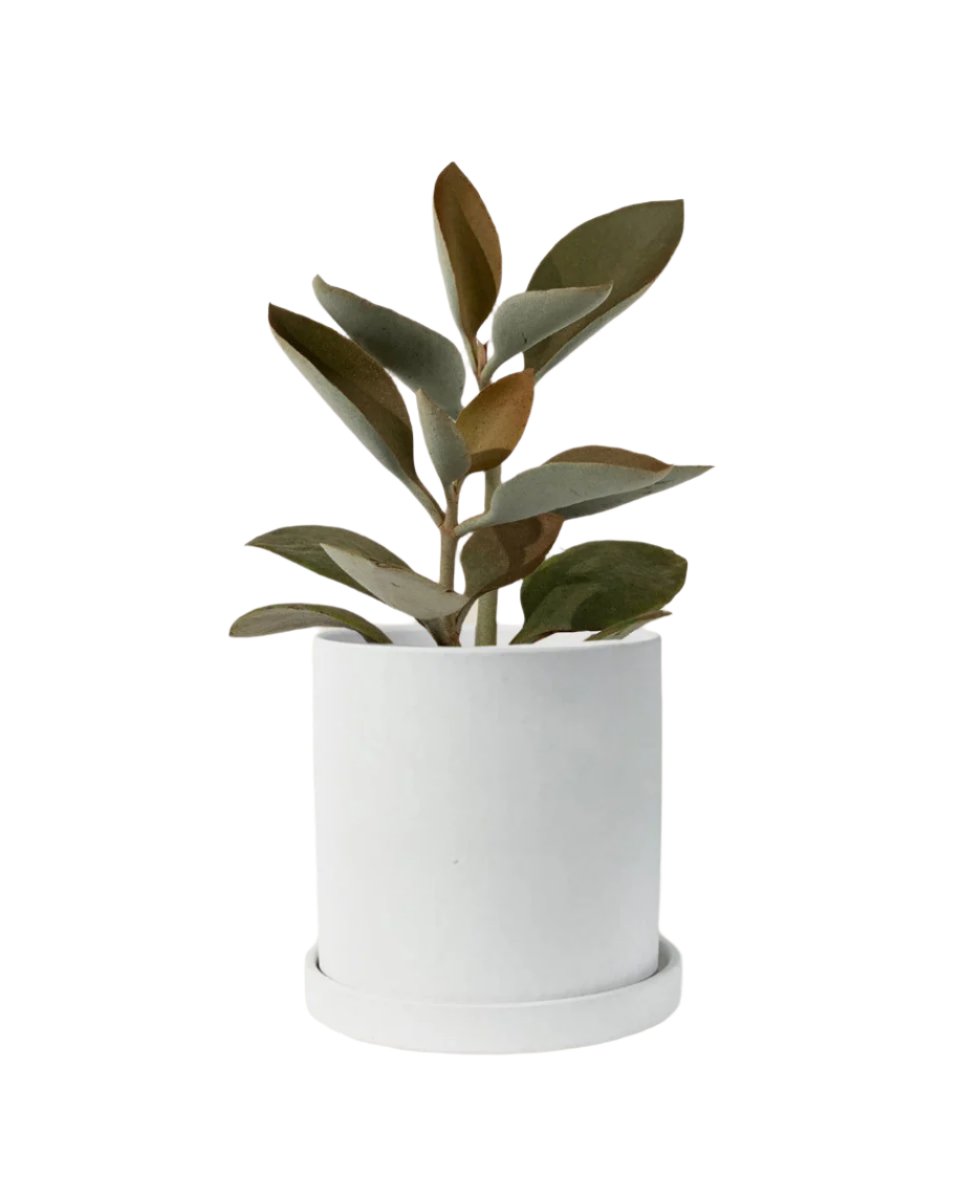 nordic white cylinder planter