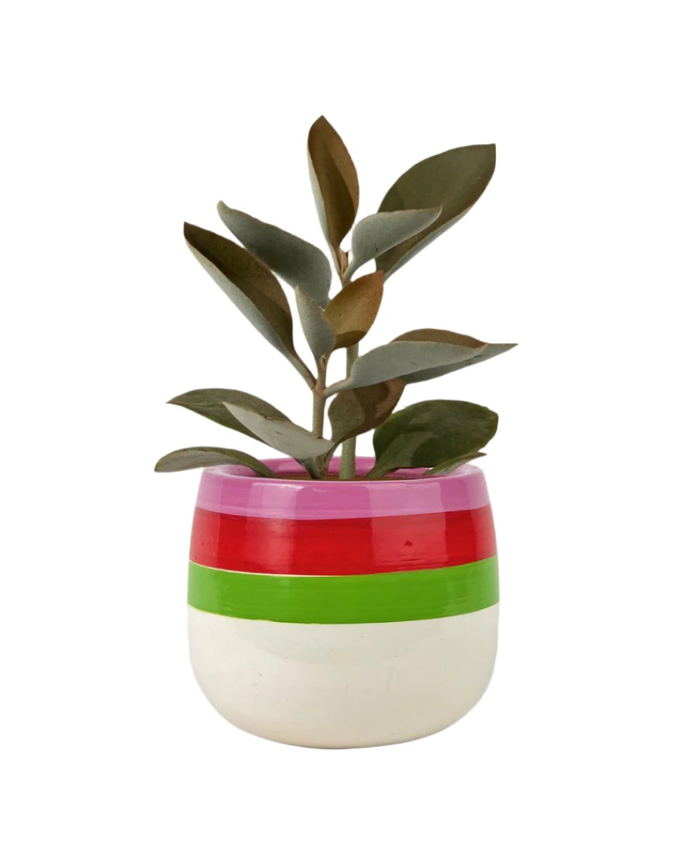 poppy planter - buzz lightyear