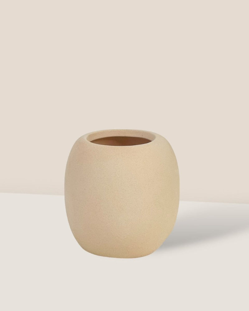 Kris Terracotta Pot - B - Pot - Tumbleweed Plants - Online Plant Delivery Singapore