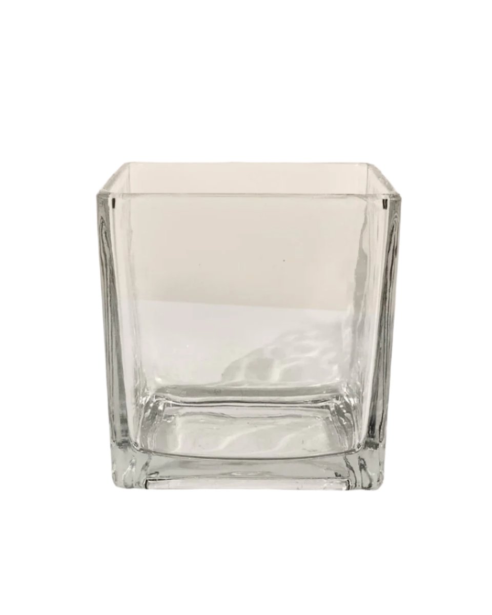 Krystal Glass Cube Planter (Hydro Friendly) - medium - Pots - Tumbleweed Plants - Online Plant Delivery Singapore