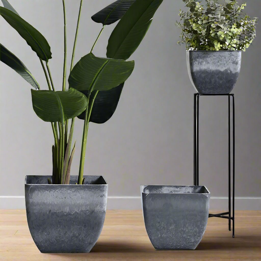 Large Airstone Cube Pots - Pots - 4441234545936 - Tumbleweed Plants - Online Plant Delivery Singapore