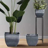 Large Airstone Cube Pots - Pots - 4441234545936 - Tumbleweed Plants - Online Plant Delivery Singapore