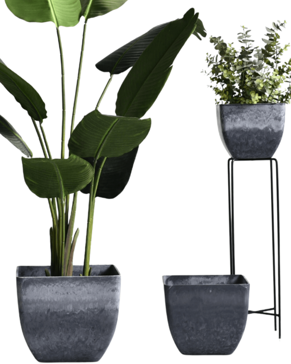 Large Airstone Cube Pots - Pots - 4441234545931 - Tumbleweed Plants - Online Plant Delivery Singapore