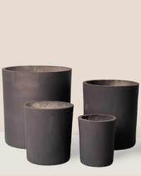 Large Aurora Clay Pot - 21cm - Pot - Tumbleweed Plants - Online Plant Delivery Singapore
