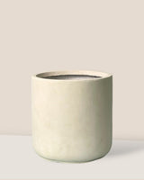 Elysia XL