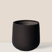 Goblet Pot - Large