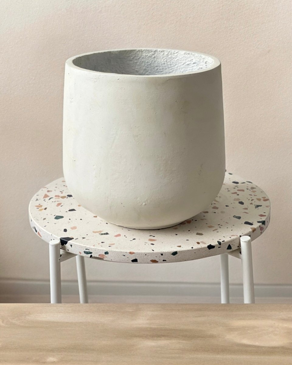 Luna Cylinder Pot - Large - Tumbleweed Plants