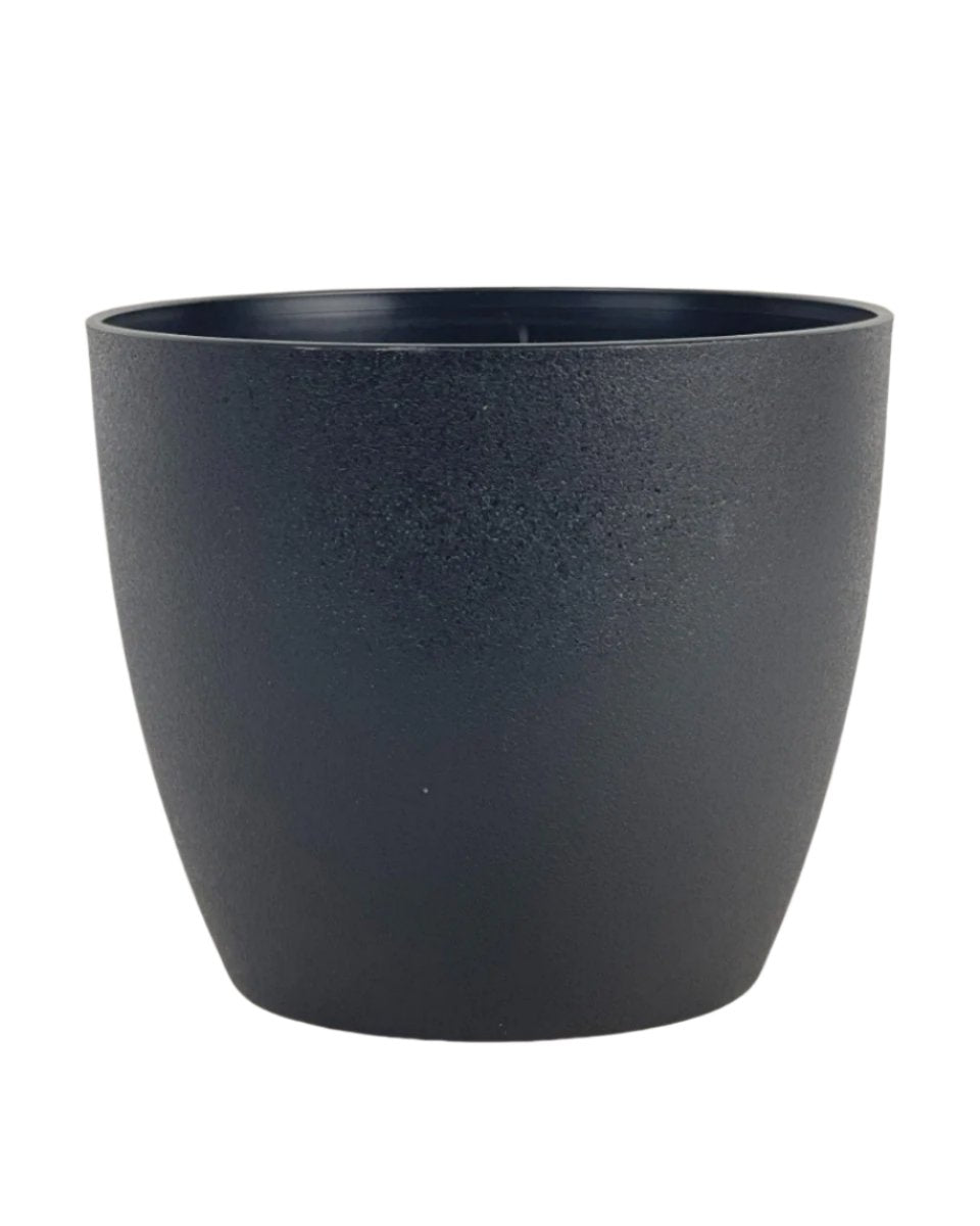 Large Luxe Plastic Pot - Black - Pots - Tumbleweed Plants - Online Plant Delivery Singapore