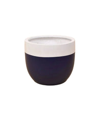 Large Resin Planters - blue/white - Pots - Tumbleweed Plants - Online Plant Delivery Singapore