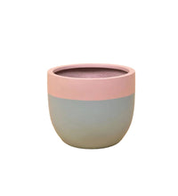 Large Resin Planters - grey/pink - Pots - Tumbleweed Plants - Online Plant Delivery Singapore