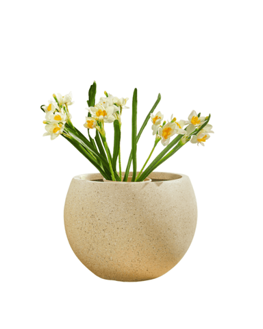 XL Sphere Globe Planter - Cream / Large