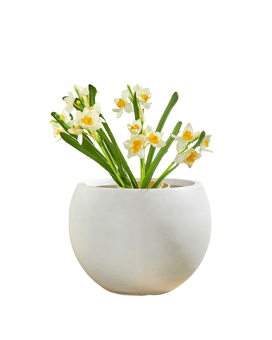 Sphere Globe Planter XL - White / Large