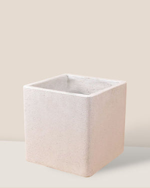 Large Terrazzo Cube