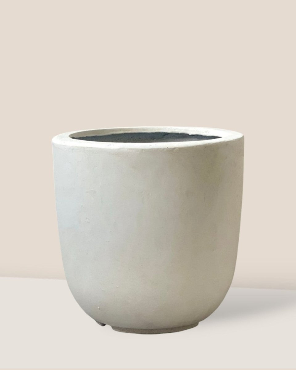 Large Zeni Planter - off - white - Pots - Tumbleweed Plants - Online Plant Delivery Singapore