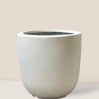 Large Zeni Planter