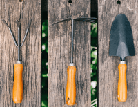 Leaf & Soil Hand Tools - Garden Tools - 4805142544042 - Tumbleweed Plants - Online Plant Delivery Singapore