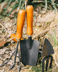 Leaf & Soil Hand Tools - Garden Tools - 4805142544042 - Tumbleweed Plants - Online Plant Delivery Singapore