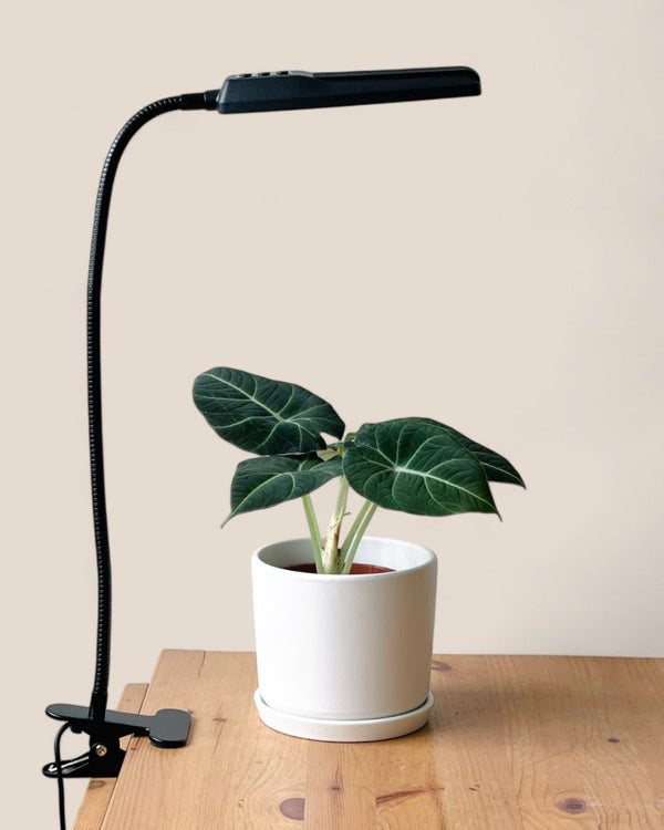 desk plant grow light LED Plant Grow Light