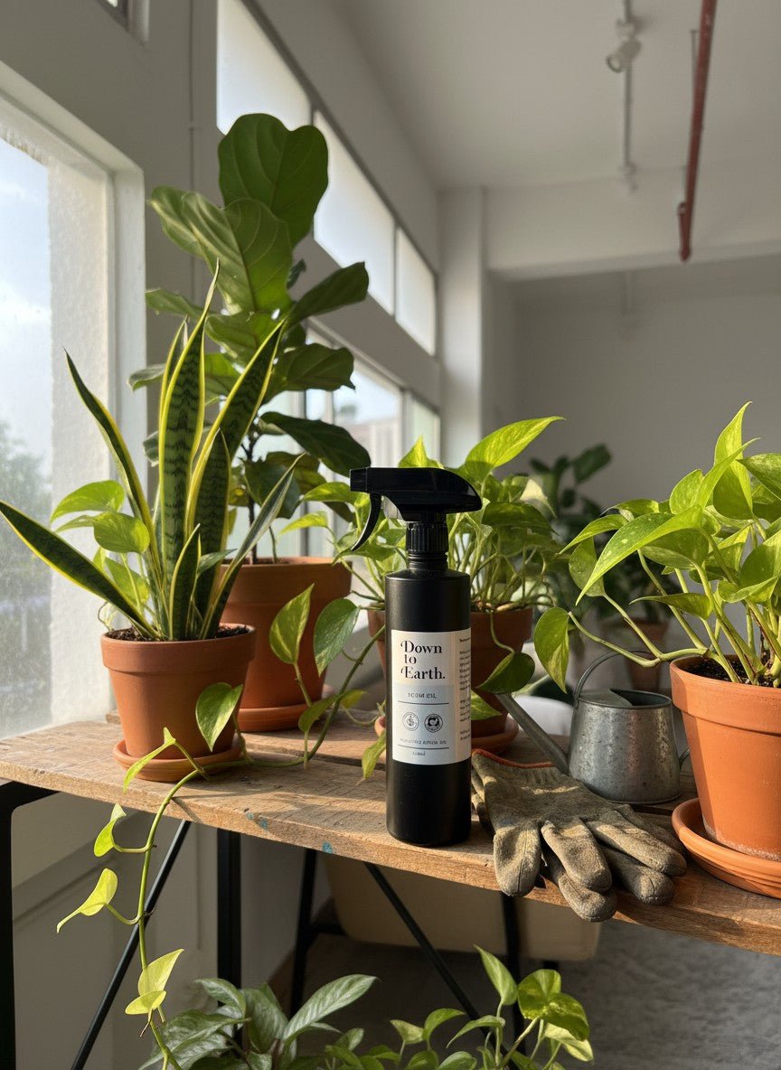 Down To Earth. Neem Oil - Plant Care - PEST-DOWN-2330 - Tumbleweed Plants - Online Plant Delivery Singapore