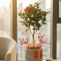 Camellia Blooms Standard