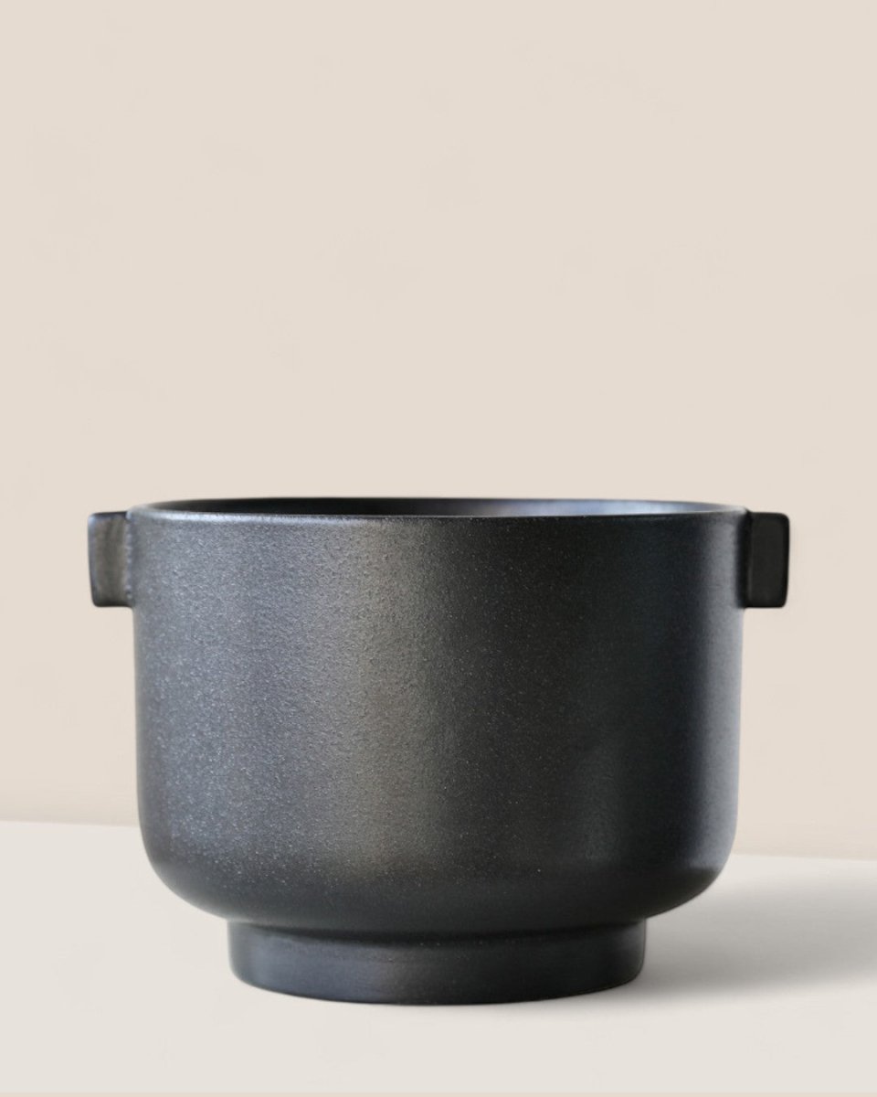 Livia Planter - Pots - 5612008967168 - Tumbleweed Plants - Online Plant Delivery Singapore