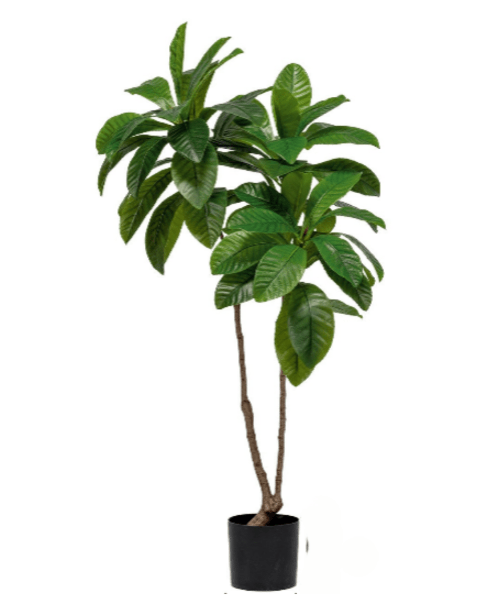 Loquat Tree (Faux) - Artificial Plant - 1838465394201858050 - 0 - Tumbleweed Plants - Online Plant Delivery Singapore