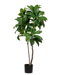 Loquat Tree (Faux) - Artificial Plant - 1838465394201858051 - 0 - Tumbleweed Plants - Online Plant Delivery Singapore