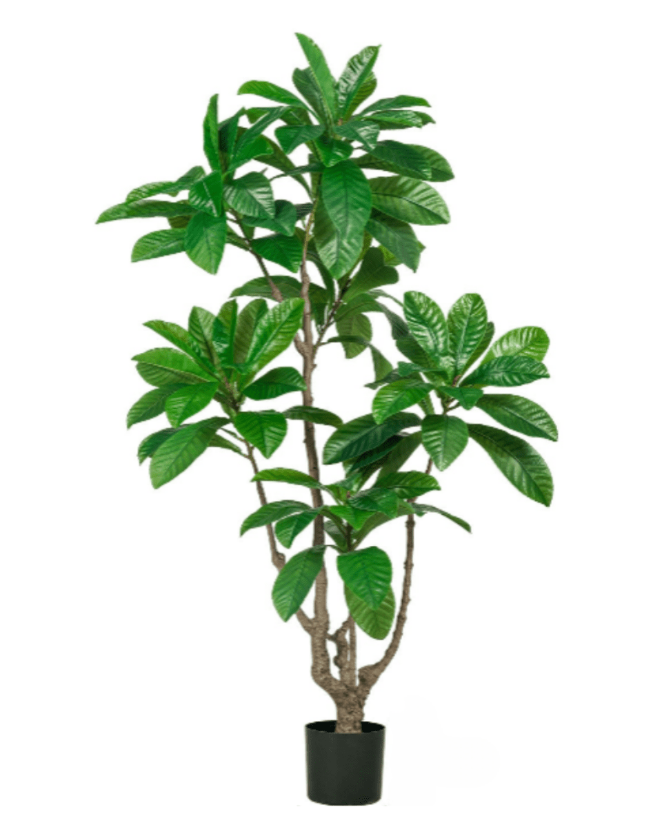 Loquat Tree (Faux) - Artificial Plant - 1838465394201858052 - 0 - Tumbleweed Plants - Online Plant Delivery Singapore