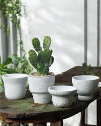 Luna Planters - Pots - 5204158103904 - Tumbleweed Plants - Online Plant Delivery Singapore