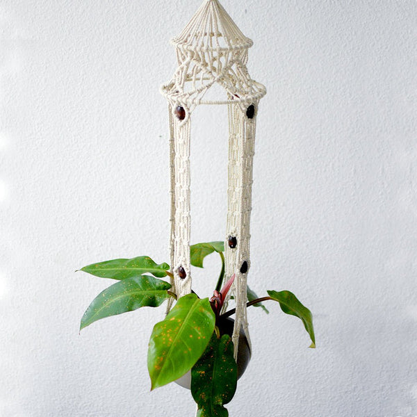 Macrame Hanger - casablanca - Macrame - MACR - MACR - 1538 - Tumbleweed Plants - Online Plant Delivery Singapore