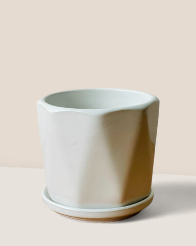 Madi Pot with Tray