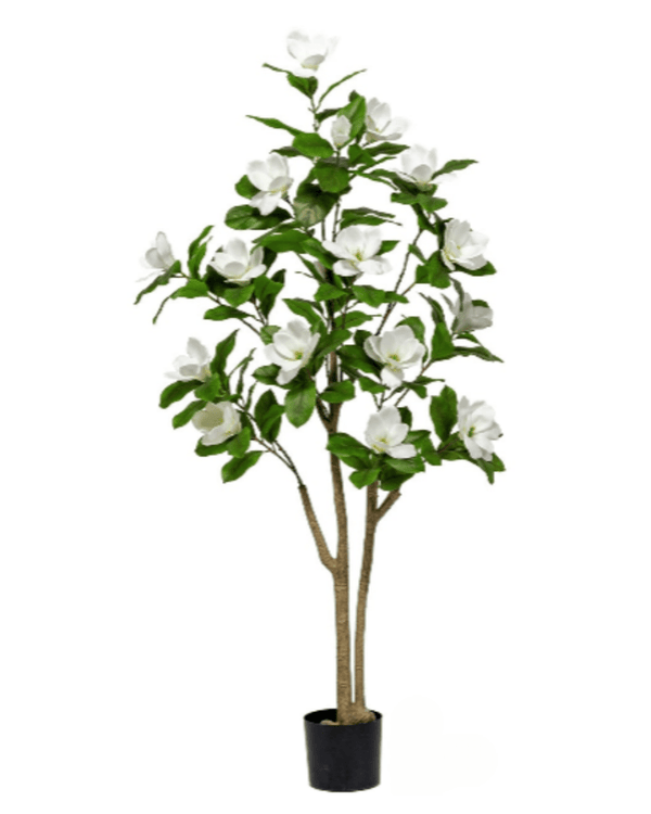 Magnolia Flower Tree (Faux) - Artificial Plant - 1838465397179813889 - 0 - Tumbleweed Plants - Online Plant Delivery Singapore