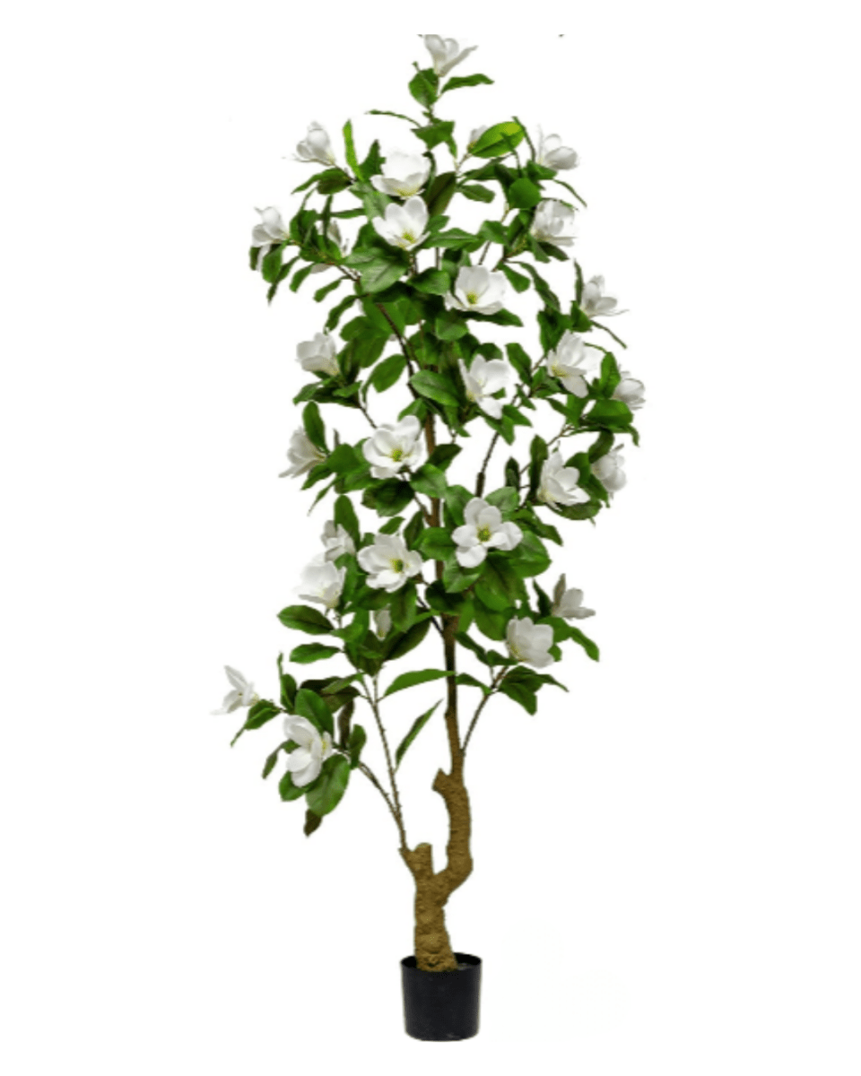 Magnolia Flower Tree (Faux) - Artificial Plant - 1838465397179813909 - 0 - Tumbleweed Plants - Online Plant Delivery Singapore