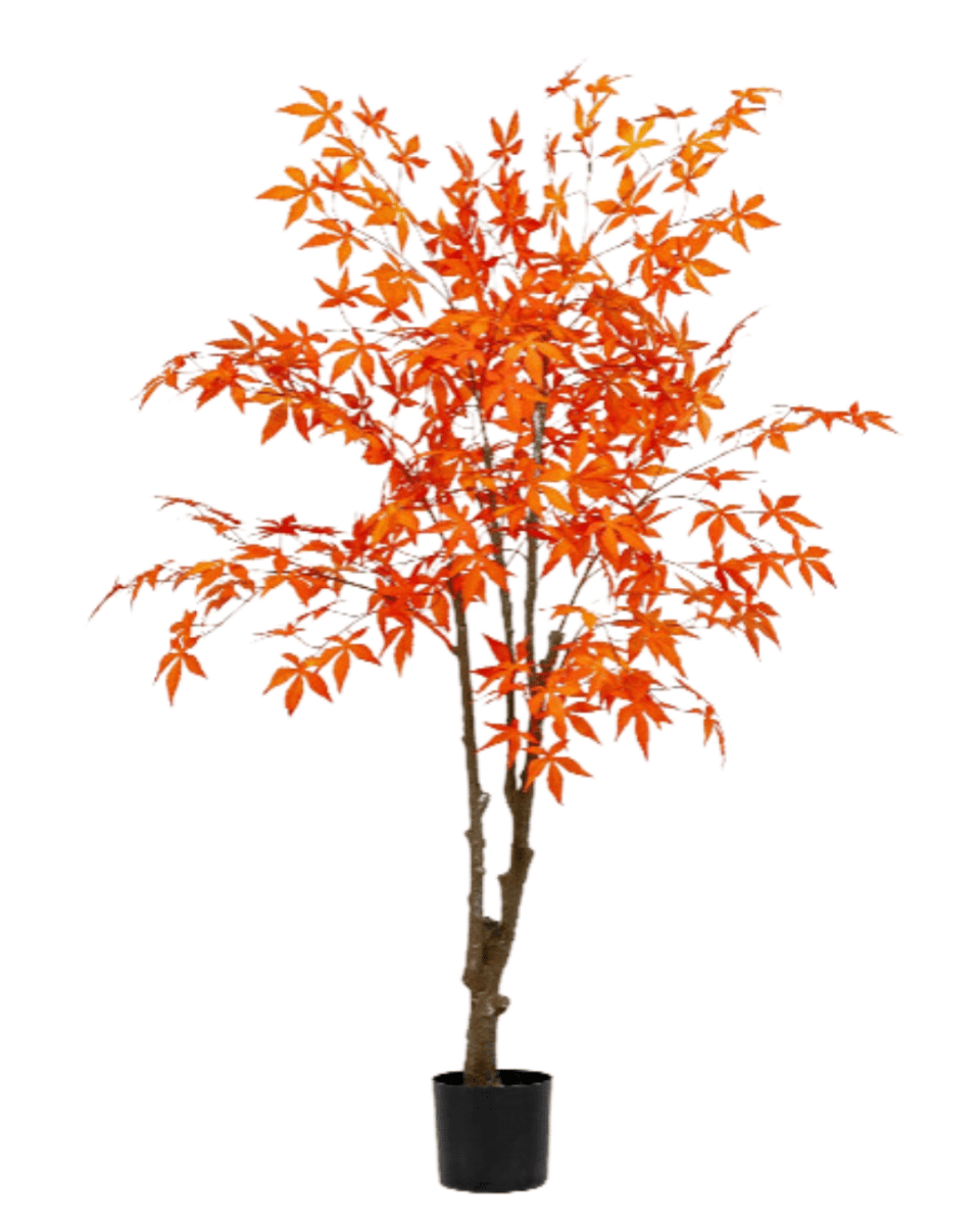 Maple Tree (Faux) - Artificial Plant - 1838465397993508866 - 0 - Tumbleweed Plants - Online Plant Delivery Singapore