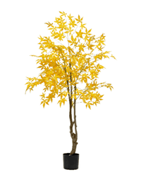 Maple Tree (Faux) - Artificial Plant - 1838465397993508867 - 0 - Tumbleweed Plants - Online Plant Delivery Singapore