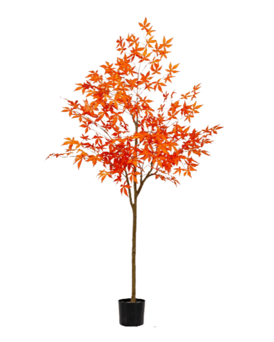 Maple Tree (Faux) - Artificial Plant - 1838465397993508868 - 0 - Tumbleweed Plants - Online Plant Delivery Singapore