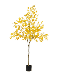 Maple Tree (Faux) - Artificial Plant - 1838465397993508869 - 0 - Tumbleweed Plants - Online Plant Delivery Singapore