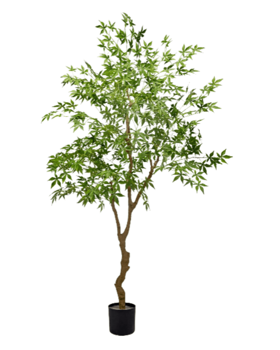 Maple Tree (Faux) - Artificial Plant - 1838465397993508872 - 0 - Tumbleweed Plants - Online Plant Delivery Singapore