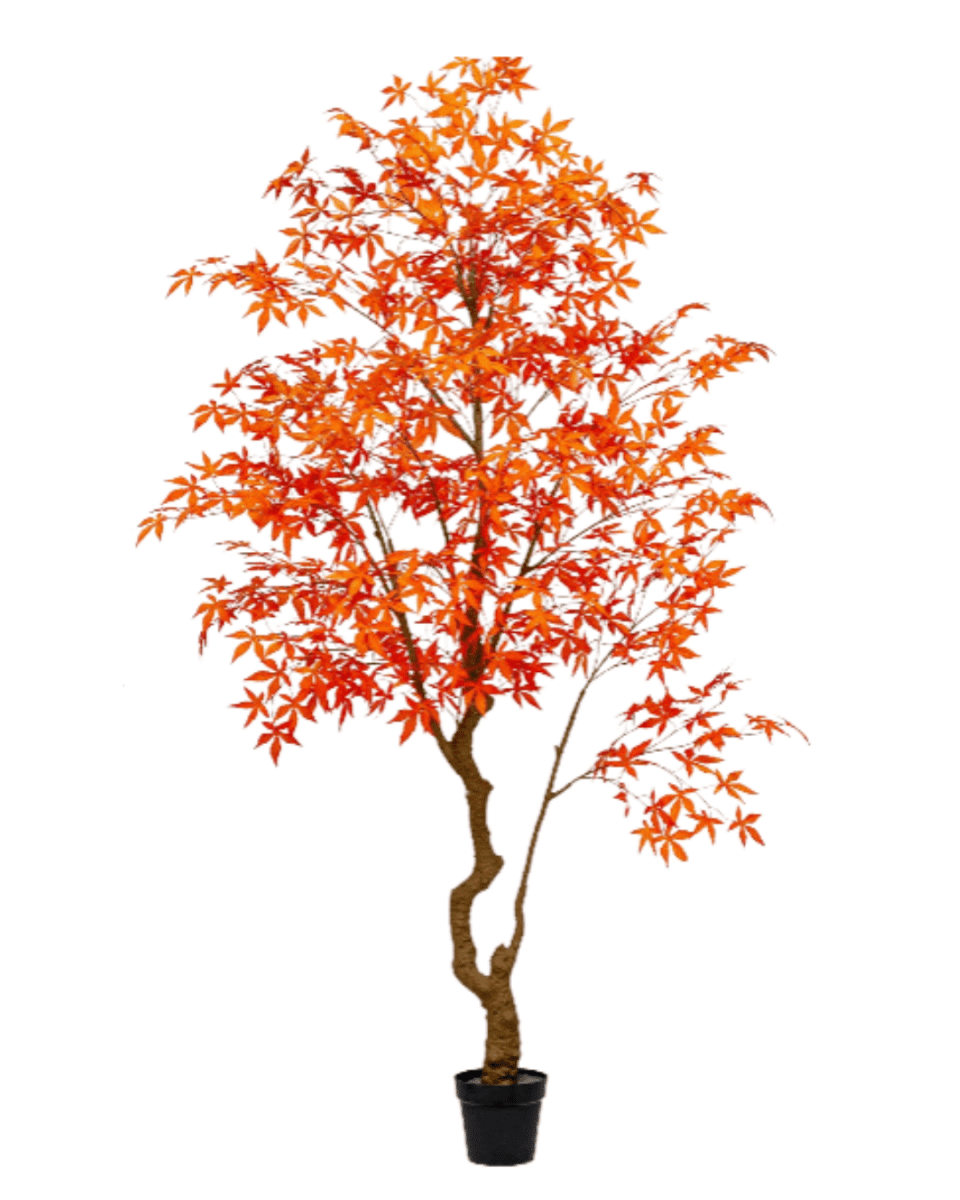 Maple Tree (Faux) - Artificial Plant - 1838465397993508873 - 0 - Tumbleweed Plants - Online Plant Delivery Singapore