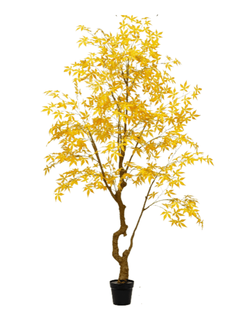 2.5m - Yellow