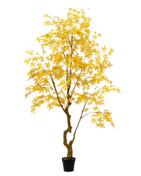 Maple Tree (Faux) - Artificial Plant - 1838465397993508874 - 0 - Tumbleweed Plants - Online Plant Delivery Singapore