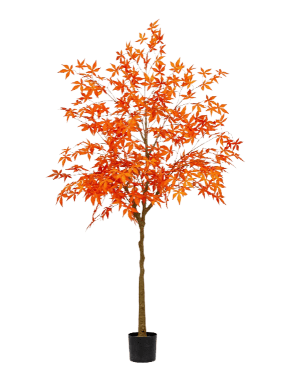 Maple Tree (Faux) - Artificial Plant - 1838465397993508870 - 0 - Tumbleweed Plants - Online Plant Delivery Singapore