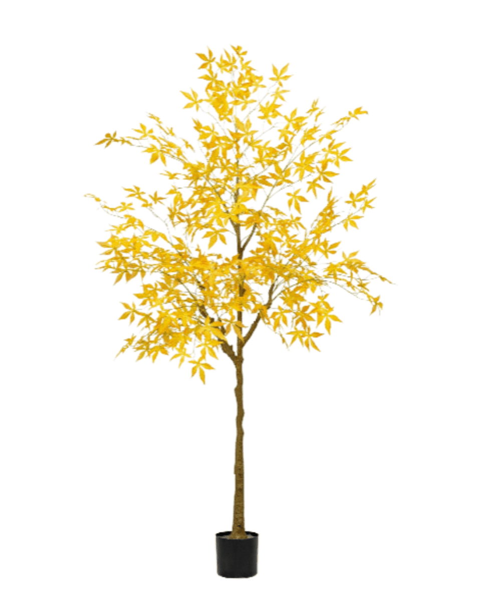 Maple Tree (Faux) - Artificial Plant - 1838465397993508871 - 0 - Tumbleweed Plants - Online Plant Delivery Singapore