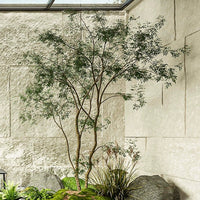 Maple Tree - Real - Trunk Artificial - Plant Installation - Plant Installation - 4847717380190 - Tumbleweed Plants - Online Plant Delivery Singapore
