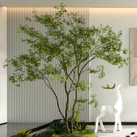 Maple Tree - Real - Trunk Artificial - Plant Installation - Plant Installation - 4847717380190 - Tumbleweed Plants - Online Plant Delivery Singapore