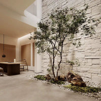 Maple Tree - Real - Trunk Artificial - Plant Installation - Plant Installation - 4847717380190 - Tumbleweed Plants - Online Plant Delivery Singapore