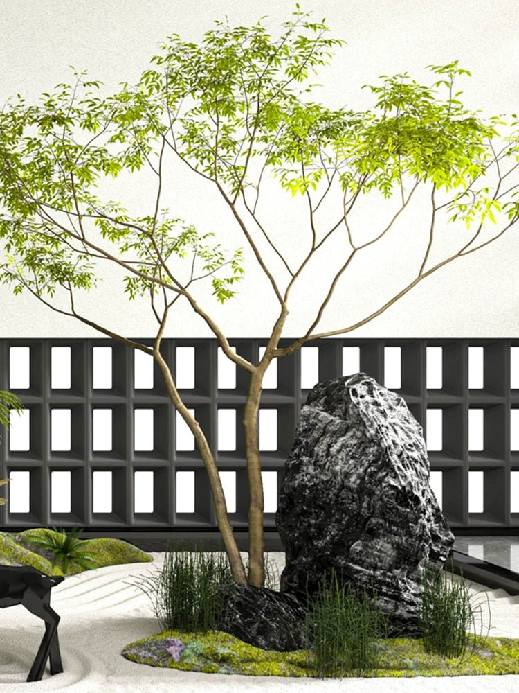 Maple Tree - Real - Trunk Artificial - Plant Installation - Plant Installation - 4847717380190 - Tumbleweed Plants - Online Plant Delivery Singapore