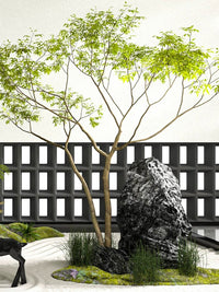 Maple Tree - Real - Trunk Artificial - Plant Installation - Plant Installation - 4847717380190 - Tumbleweed Plants - Online Plant Delivery Singapore